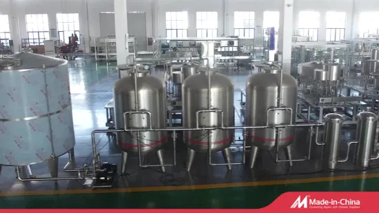 RO Drinking Water Purification Filter System Water Treatment Plant